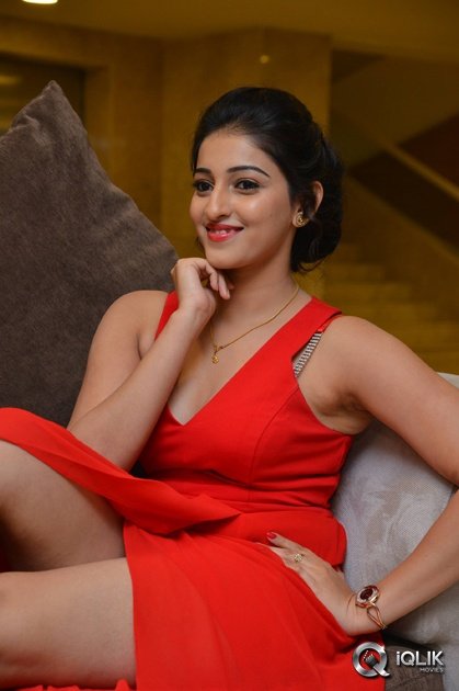 Mouryani-At-Intlo-Dayyam-Nakem-Bhayyam-Movie-Trailer-Launch